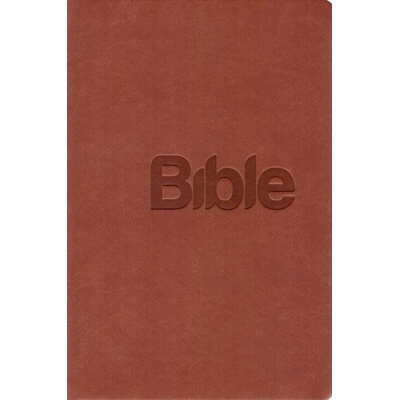 Bible 21 - Alexandr Flek