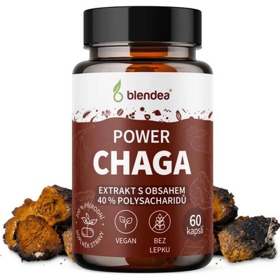 Blendea Chaga extrakt 60 kapsúl