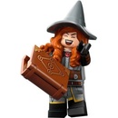 LEGO® Minifigurky 71047 Dungeons & Dragons Tasha královna čarodějnic