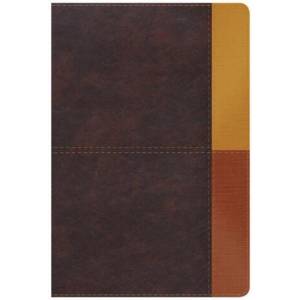 Rvr 1960 Biblia de Estudio Arcoiris, Cocoa/ Terracota Símil Piel Con Índice (ISBN: 9781087738765)