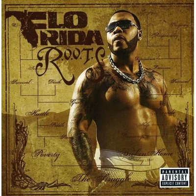 FLO RIDA: R.O.O.T.S.
