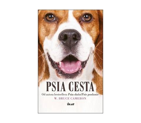 Psia cesta