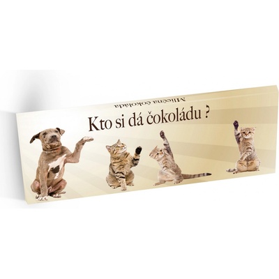 Selllot Mléčná Kdo si dá čokoládu? 100 g