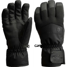 Blizzard Guide ski gloves black