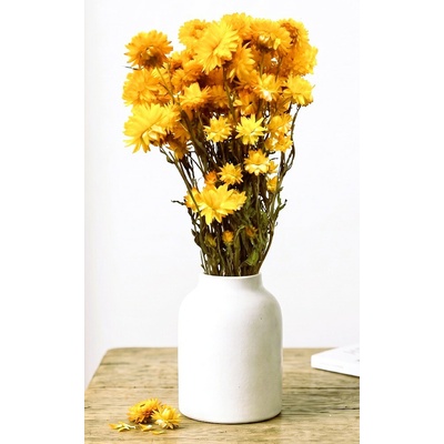 Helichrysum, slaměnka žlutá, svazek 90g-95g