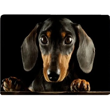 Zolux Podložka pro psy pod misku pejsci L