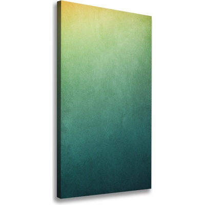 Vertikálny foto obraz canvas Pozadie gradient 50x100 cm
