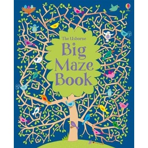 Big Maze Book (ISBN: 9781805317708)