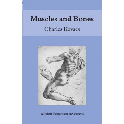 Muscles and Bones