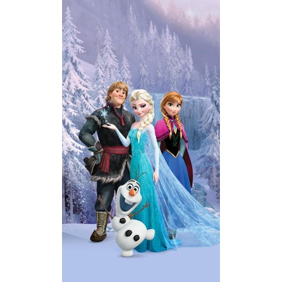 Fotozáclony Disney Ledové království 140x245cm FCS L 7147