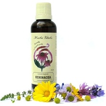 Herba Vitalis tinktúra z byliny Echinacea purpurová 50 ml