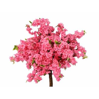 Декоративно дърво Сакура, Цикламено-розово, 240 см. Японска вишна (tr-sk-p)