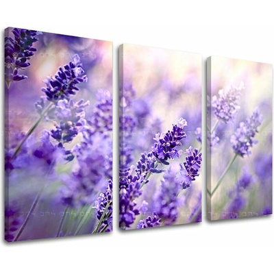 Obraz na stenu KVETY - 120x80 cm