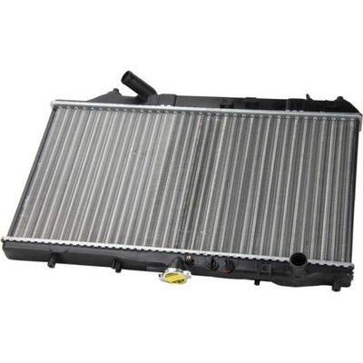 THERMOTEC Chladič, chlazení motoru D73005TT