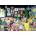 Magnolia - Puzzle The Travel Memories - 1 000 piese