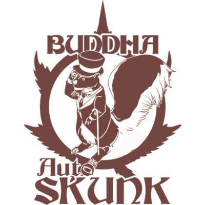 Buddha Seeds Skunk AUTO semienka neobsahujú THC 3 ks
