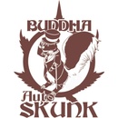 Buddha Seeds Skunk AUTO semena neobsahují THC 3 ks