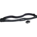 POLAR T34