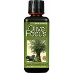 Growth Technology Olive Focus - тор за маслинови дръвчета (691039y)