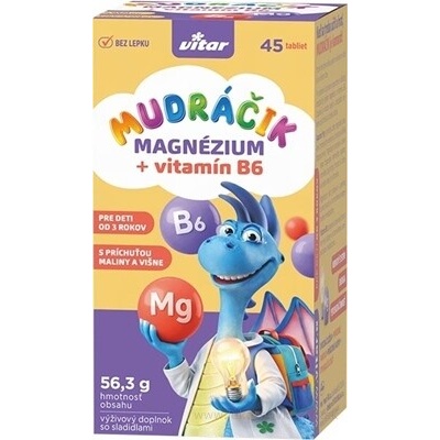 VITAR MUDRÁČEK Magnesium + B6 45 tablet