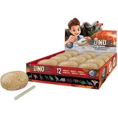 Buki France Дино яйца за разпознаване - Дисплей (bkd6o)