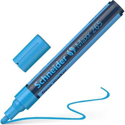 SCHNEIDER Maxx 265 světle modrý
