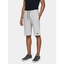 4F NOSH4-SKMD001 27M/Cold Light Gray melange