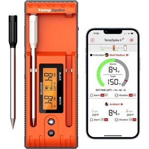 ThermoPro TP-962
