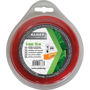 Raider 110226