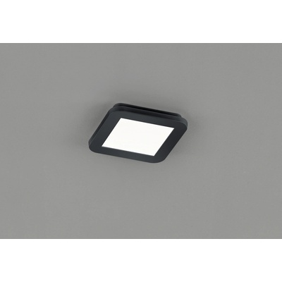 Reality R62931032