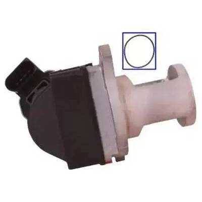 QWP AGR ventil QWP WEG164