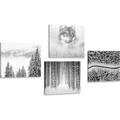 Set obrazů vlk v tajemném lese v černobílém provedení - 4x 40x40