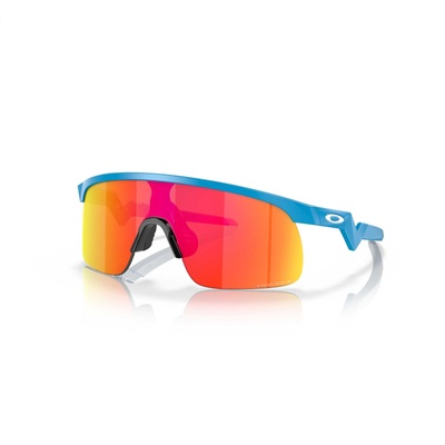 Oakley Resistor OJ9010-05