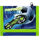 Karton P+P Futbal
