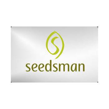 Seedsman Seeds Blueberry semena neobsahují THC 5 ks