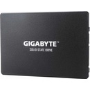 Gigabyte 1TB, GP-GSTFS31100TNTD