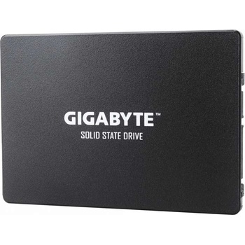 Gigabyte 1TB, GP-GSTFS31100TNTD