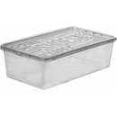 PEKDA Box Basic na topánky 68079