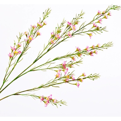 Opuč - Chamelaucium větev růžový 109 cm