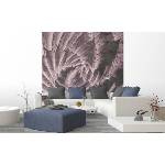 DIMEX ART Флизелинов фототапет абстрактен кактус 225 x 250 см