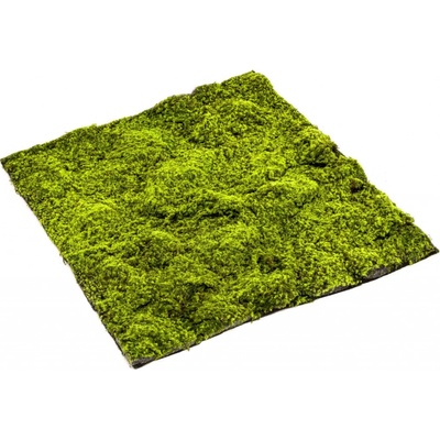 Umělý mech Sphagnum, 100 x 100cm