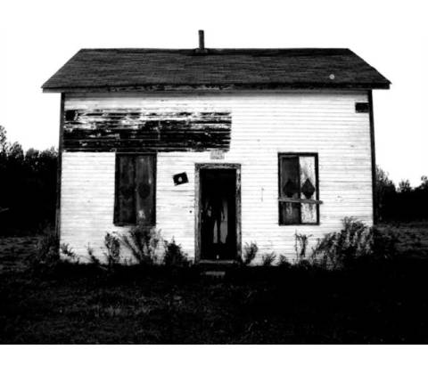 Cedar Shakes - Timber Timbre LP