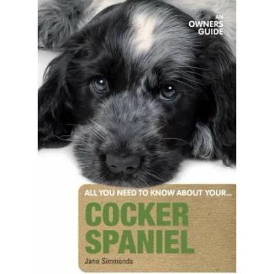 Cocker Spaniel | Jane Simmonds