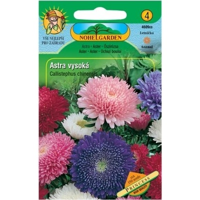 Nohel Garden Astra čínska vysoká PRINCESS, zmes