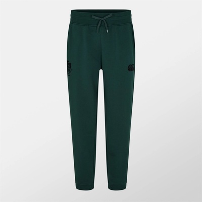 Canterbury Мъжки анцуг Canterbury British & Irish Lions Tracksuit Bottoms 2025 Mens - Scarab