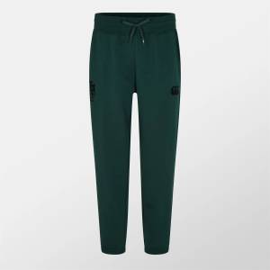 Canterbury Мъжки анцуг Canterbury British & Irish Lions Tracksuit Bottoms 2025 Mens - Scarab