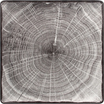 RAK Porcelain Woodart talíř čtvercový 30 x 30 cm šedá RAK-WDEDSQ30BG