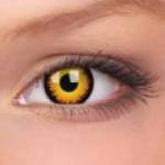MAXVUE VISION Crazy orange werewolf (10074)