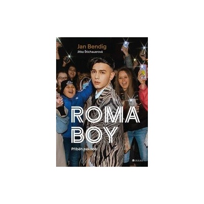 Roma boy