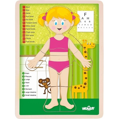 Woody oboustranné puzzle lidské tělo dívka anglicky